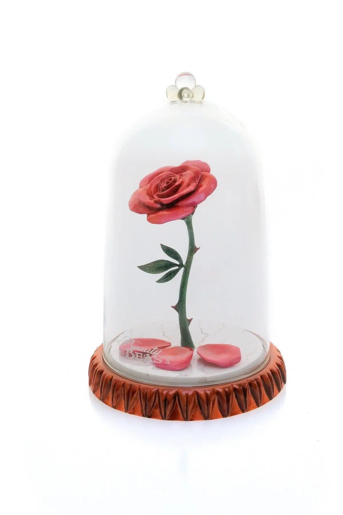 Decorative red rose under clear glass dome with ruffled brown base and small pink accents